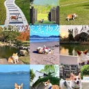 太阳岛旅游度假区 - 上海市旅游 缩略图 1
