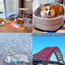 太阳岛旅游度假区 - 上海市旅游 缩略图 5