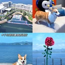 太阳岛旅游度假区 - 上海市旅游 缩略图 8