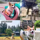 太阳岛旅游度假区 - 上海市旅游 缩略图 7