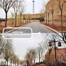 蔚州古城景区 - 张家口市旅游 缩略图 9