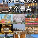 中华麋鹿园 - 盐城市旅游 缩略图 1