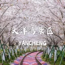 中华麋鹿园 - 盐城市旅游 缩略图 5