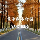 中华麋鹿园 - 盐城市旅游 缩略图 8