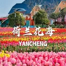 中华麋鹿园 - 盐城市旅游 缩略图 9