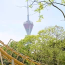 成华公园 - 成都市旅游 缩略图 3