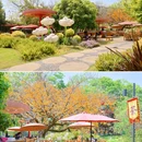 成华公园 - 成都市旅游 缩略图 4