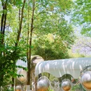 成华公园 - 成都市旅游 缩略图 8