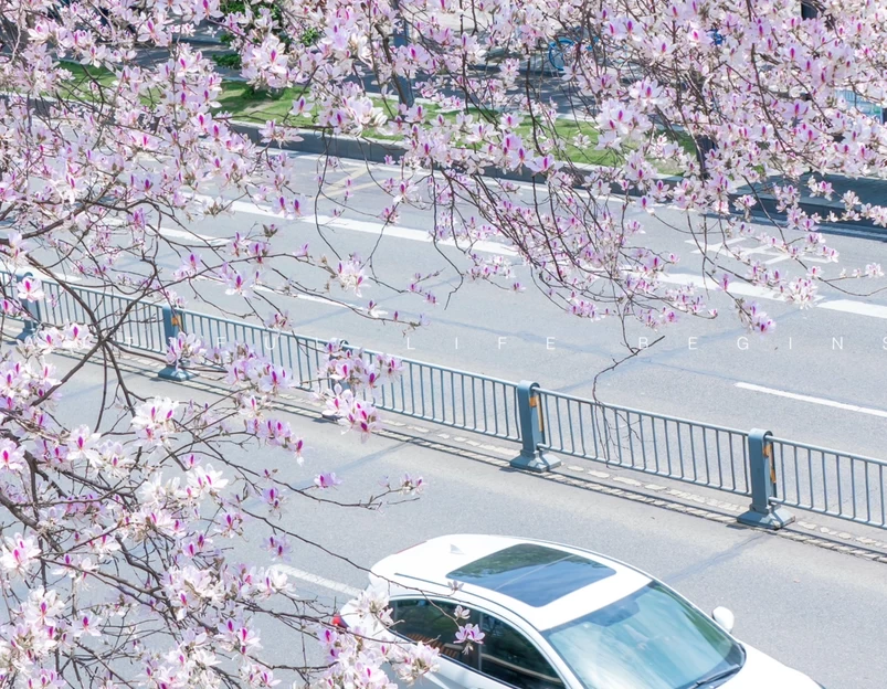 温江二中 - 成都市旅游 1