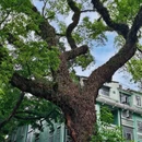 广州邮政博物馆 - 广州市旅游 缩略图 9