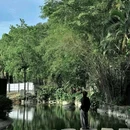 中山公园 - 深圳市旅游 缩略图 7