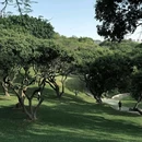 中山公园 - 深圳市旅游 缩略图 1