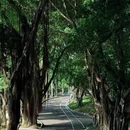 中山公园 - 深圳市旅游 缩略图 2