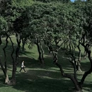 中山公园 - 深圳市旅游 缩略图 3