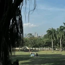 中山公园 - 深圳市旅游 缩略图 4