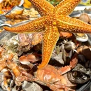 燎海海鲜烧烤 - 威海市旅游 缩略图 1