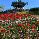 北京景山公园 - 北京市旅游 缩略图 1