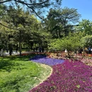北京景山公园 - 北京市旅游 缩略图 3