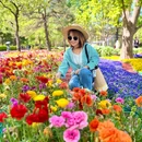 北京景山公园 - 北京市旅游 缩略图 8