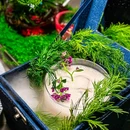 MA SHER by元爱本家·韩食酒馆 - 上海市旅游 缩略图 9
