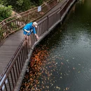 大鸿寨风景区游客中心 - 许昌市旅游 缩略图 4