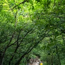 大鸿寨风景区游客中心 - 许昌市旅游 缩略图 8