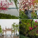 苏堤 - 杭州市旅游 缩略图 3