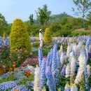 上海辰山植物园 - 上海市旅游 缩略图 6