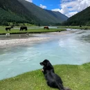 月亮湖 - 甘孜藏族自治州旅游 缩略图 6