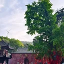 菩提寺森林公园 - 南阳旅游 缩略图 3