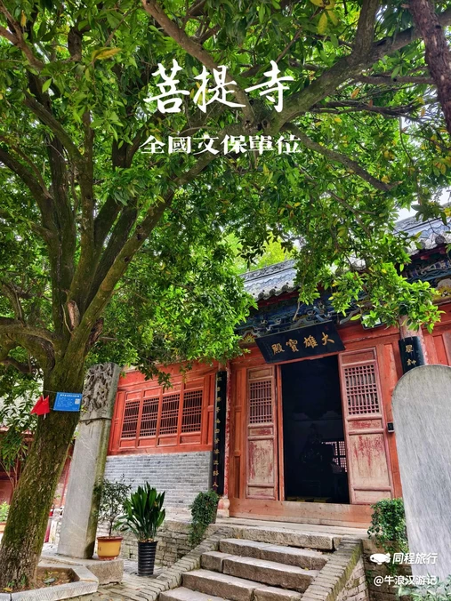 菩提寺森林公园 - 南阳旅游