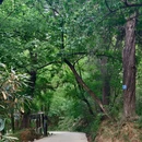 菩提寺森林公园 - 南阳旅游 缩略图 7