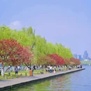 杭州西湖 - 杭州市旅游 缩略图 7