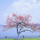 杭州西湖 - 杭州市旅游 缩略图 9