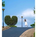 东莞植物园 - 东莞市旅游 缩略图 1