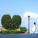 东莞植物园 - 东莞市旅游 缩略图 2