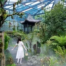东莞植物园 - 东莞市旅游 缩略图 5