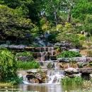 东莞植物园 - 东莞市旅游 缩略图 4