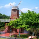 东莞植物园 - 东莞市旅游 缩略图 9