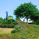 东莞植物园 - 东莞市旅游 缩略图 6
