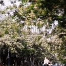 行知路[地铁站] - 上海市旅游 缩略图 5