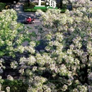 行知路[地铁站] - 上海市旅游 缩略图 1