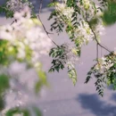 行知路[地铁站] - 上海市旅游 缩略图 8