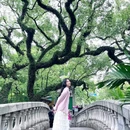 中山公园 - 佛山市旅游 缩略图 2