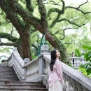 中山公园 - 佛山市旅游 缩略图 7