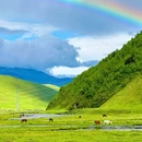 雅拉雪山观景台 - 甘孜藏族自治州旅游 缩略图 8