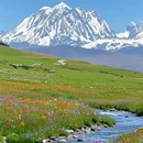 雅拉雪山观景台 - 甘孜藏族自治州旅游 缩略图 7
