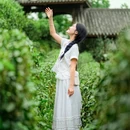 青城山道茶观光园 - 成都市旅游 缩略图 6