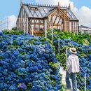海宁国际花卉城游客中心 - 嘉兴市旅游 缩略图 8