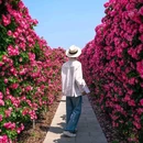 海宁国际花卉城游客中心 - 嘉兴市旅游 缩略图 5